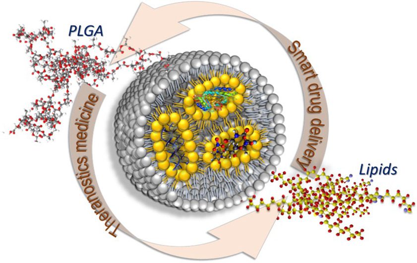 PLGA, a smart polymer for Drug Delivery System